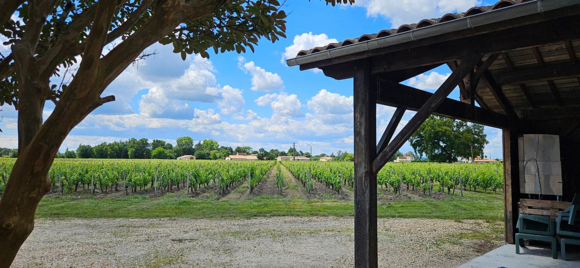 Gite Chateau Touzinat - Saint-Émilion Kültér fotó