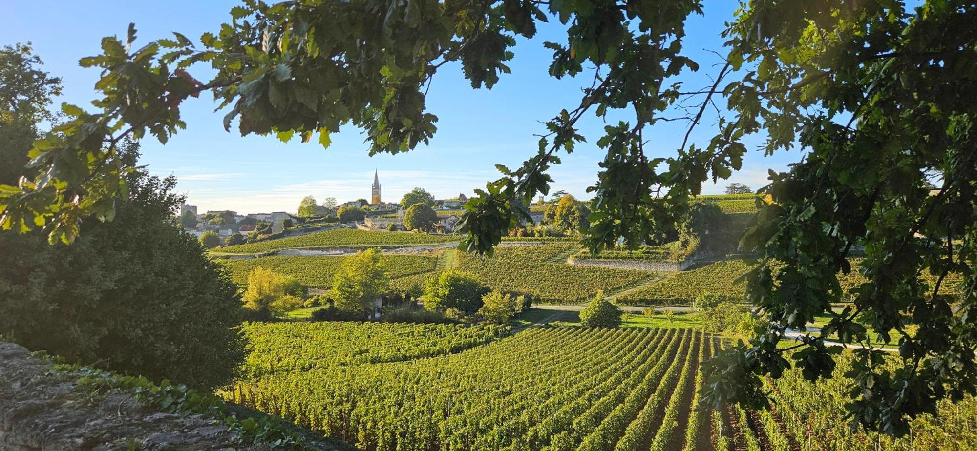 Gite Chateau Touzinat - Saint-Émilion Kültér fotó